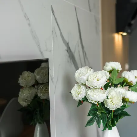 Komfortowy Apartament Z Ogrodkiem Poznan