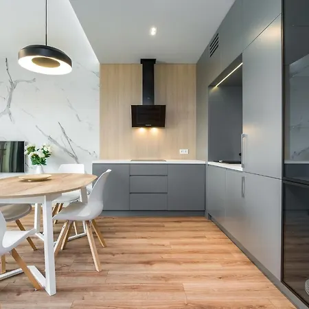 Komfortowy Apartament Z Ogrodkiem Poznan