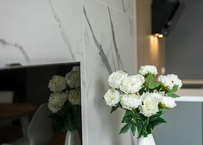 Komfortowy Apartament Z Ogrodkiem Poznan